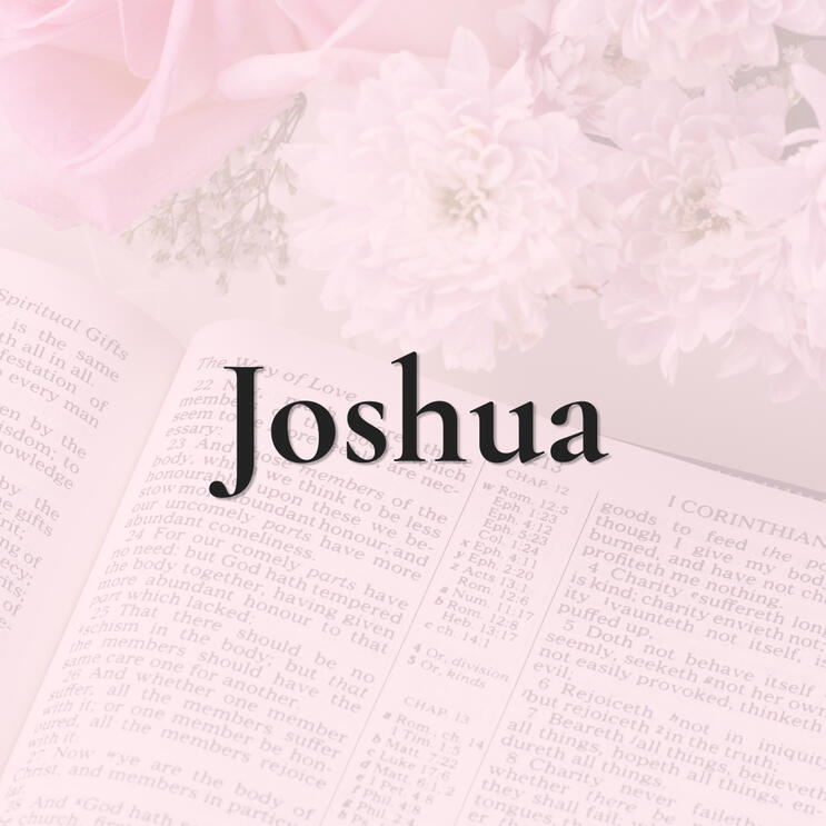 Joshua Joshua